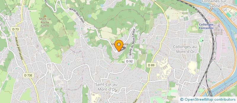 localisation de l'entreprise WOKFAMILY  SAINT-CYR-AU-MONT-D'OR