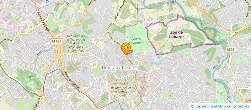 localisation de l'entreprise WOMED  MONTPELLIER