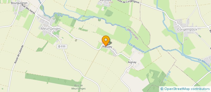 localisation de l'entreprise WOOD'ART  MEURSANGES