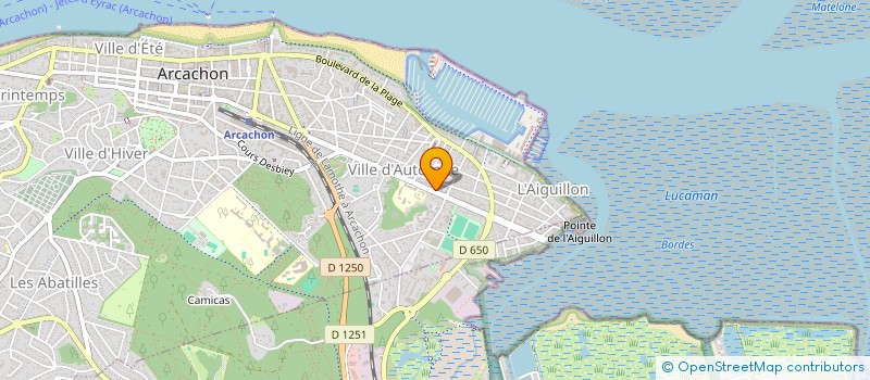 localisation de l'entreprise WOODSTOCK  ARCACHON