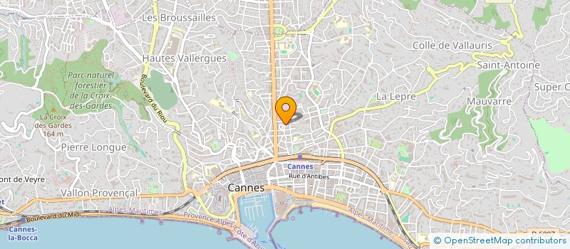 localisation de l'entreprise WOODWARD BESPOKE à CANNES