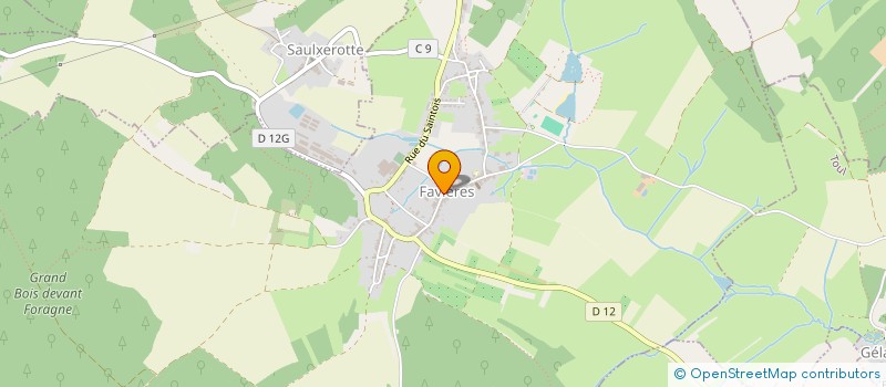 localisation de l'entreprise WOODY WOODFIRE à FAVIERES