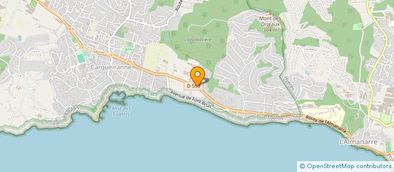 localisation de l'entreprise WORLD FLOWERS CREATIVE ET SERVICES  CARQUEIRANNE