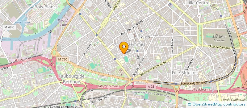localisation de l'entreprise WOUSPIK à LILLE