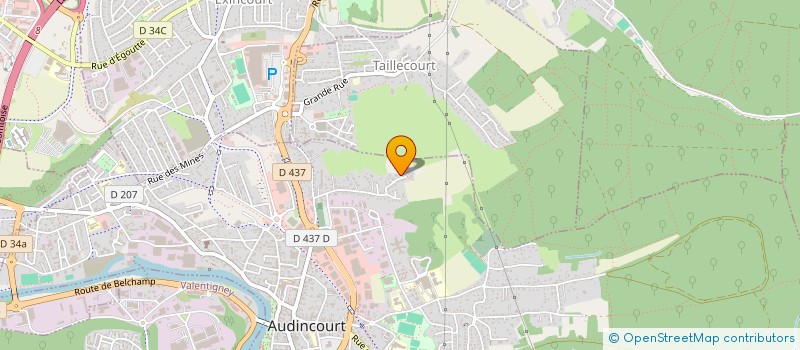 localisation de l'entreprise WTS  AUDINCOURT