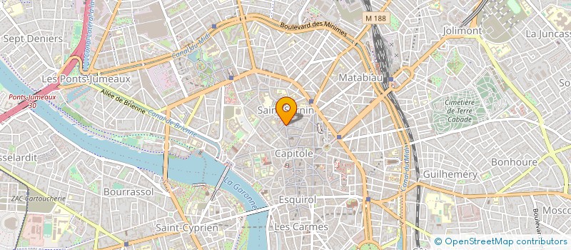 localisation de l'entreprise WYLD à TOULOUSE