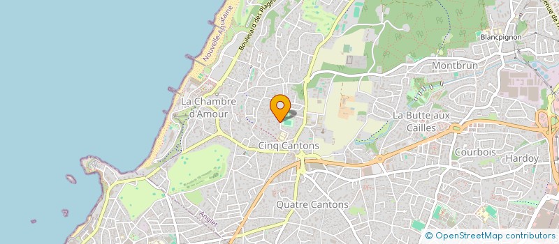 localisation de l'entreprise XABI FLEURS  ANGLET