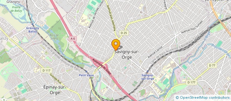 localisation de l'entreprise XING WANG à SAVIGNY-SUR-ORGE