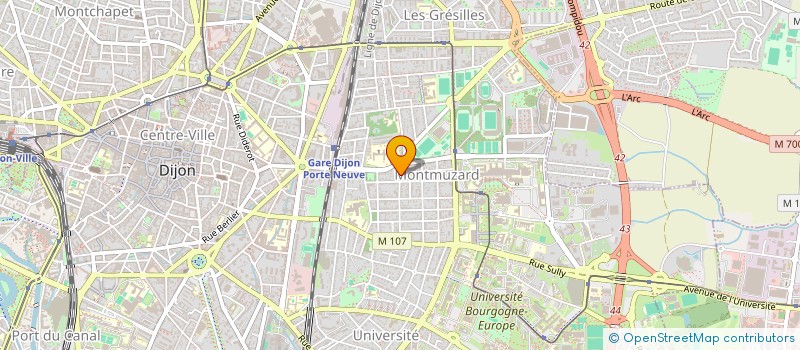 localisation de l'entreprise XR GAGNEREAUX à DIJON