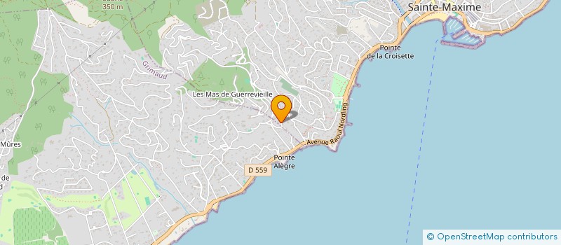 localisation de l'entreprise Y19 à SAINTE-MAXIME