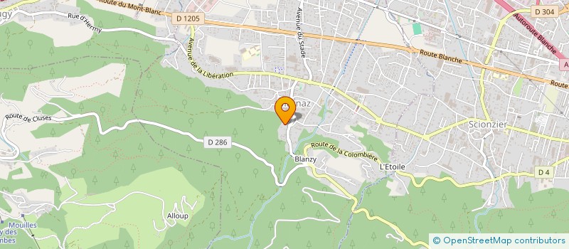 localisation de l'entreprise YADO INVEST  MARNAZ