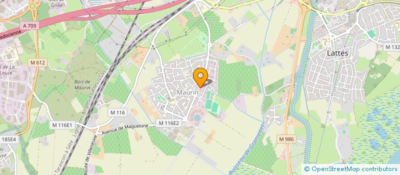 localisation de l'entreprise YAGO à LATTES