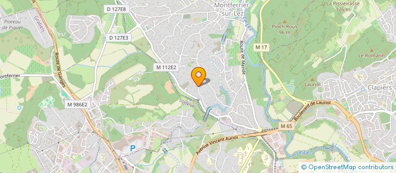 localisation de l'entreprise YALU  MONTFERRIER-SUR-LEZ