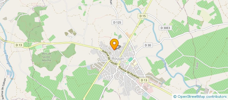 localisation de l'entreprise YAM-INVEST  ROUJAN