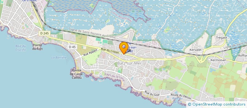 localisation de l'entreprise YANG ZI  BATZ-SUR-MER