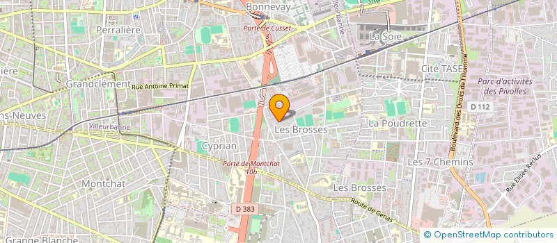 localisation de l'entreprise YANGAO GUIONGO IMMOBILIER  VILLEURBANNE