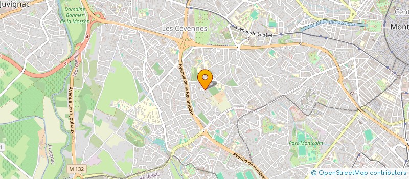 localisation de l'entreprise YANIS & CO à MONTPELLIER