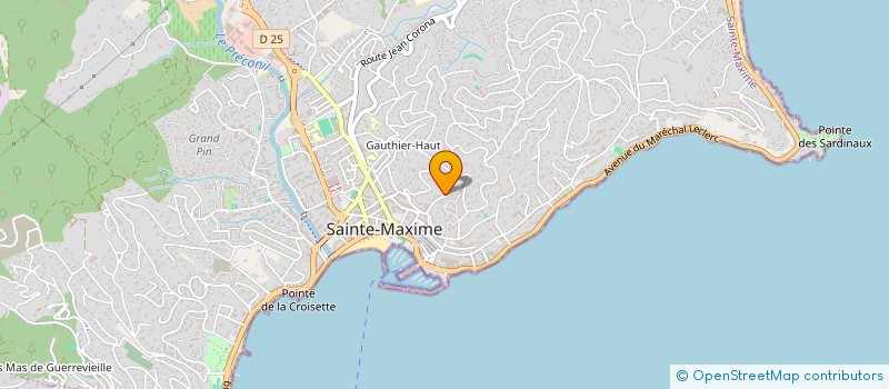 localisation de l'entreprise YANN à SAINTE-MAXIME