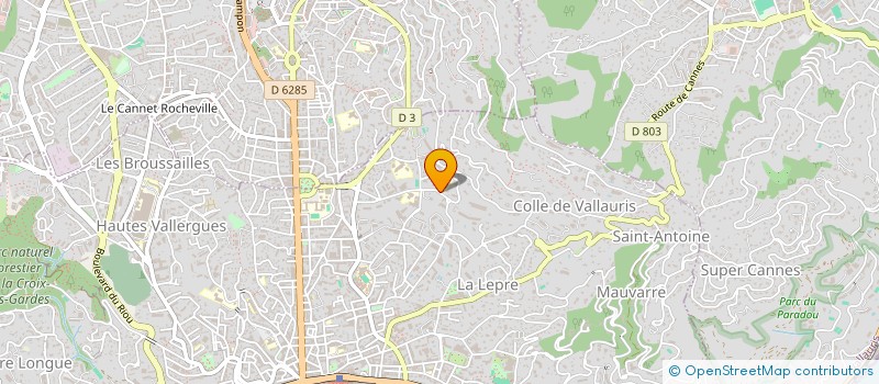 localisation de l'entreprise YANN SABAH - CHIRURGIE ORTHOPEDIQUE ET TRAUMATOLOGIQUE  CANNES