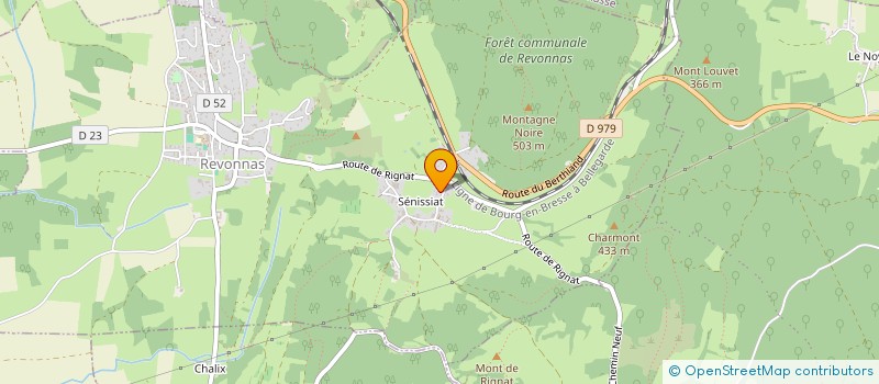 localisation de l'entreprise YANN SAINT-ANDRE MACONNERIE  REVONNAS