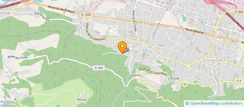 localisation de l'entreprise YANNINA  MARNAZ