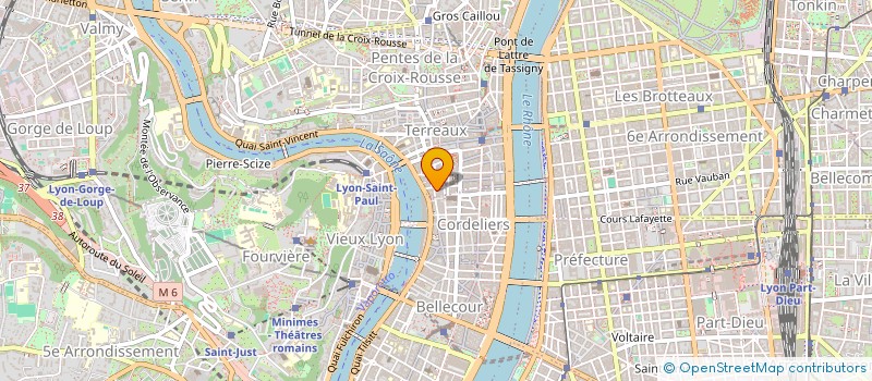 localisation de l'entreprise YEAHGA ESPACE HOLISTIQUE à LYON