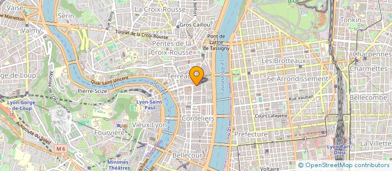 localisation de l'entreprise YELLOW COACHING TREE à LYON