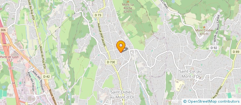 localisation de l'entreprise YES  SAINT-DIDIER-AU-MONT-D'OR
