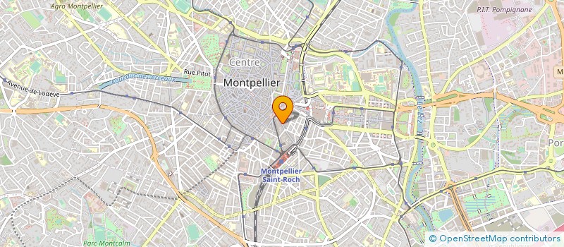 localisation de l'entreprise YIN YANG à MONTPELLIER