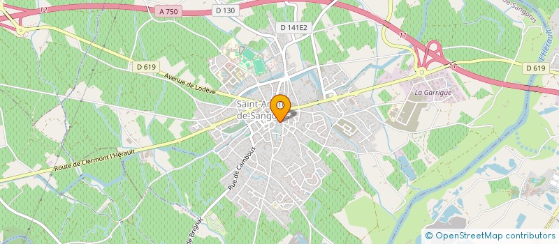 localisation de l'entreprise YJ ASIAN MARKET  SAINT-ANDRE-DE-SANGONIS