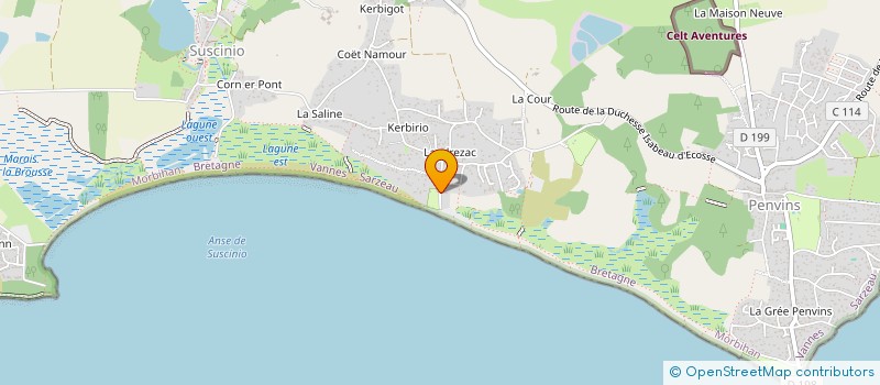 localisation de l'entreprise YLANG INVEST  SARZEAU