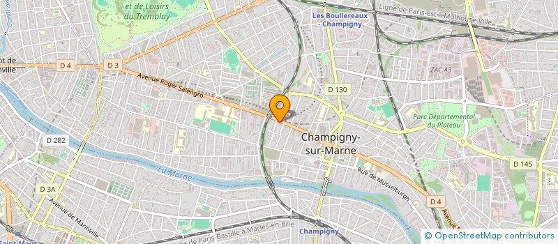 localisation de l'entreprise YLANG-YLANG DE NKOURANI MITSAMIOULI à CHAMPIGNY-SUR-MARNE