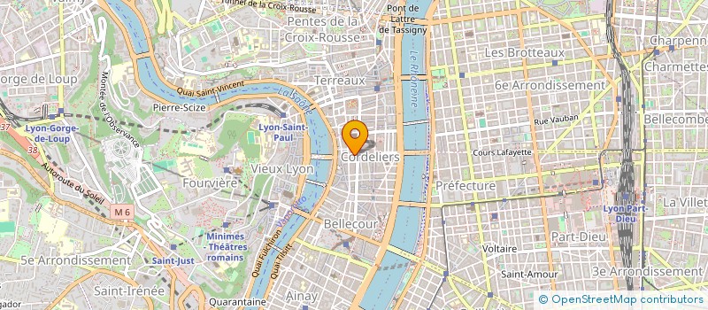 localisation de l'entreprise YLF6918 à LYON