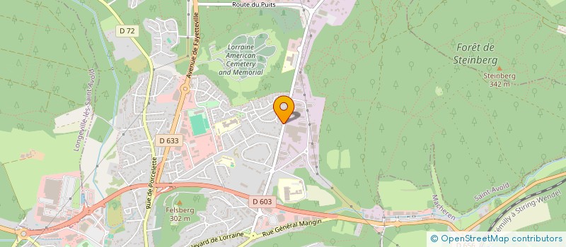 localisation de l'entreprise YMMO 9  SAINT-AVOLD