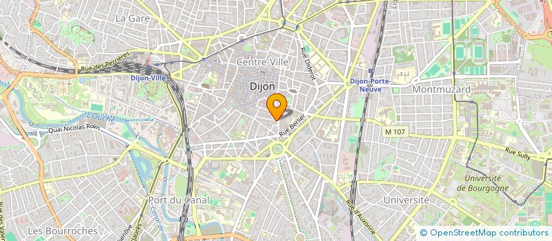 localisation de l'entreprise YNANKA  DIJON