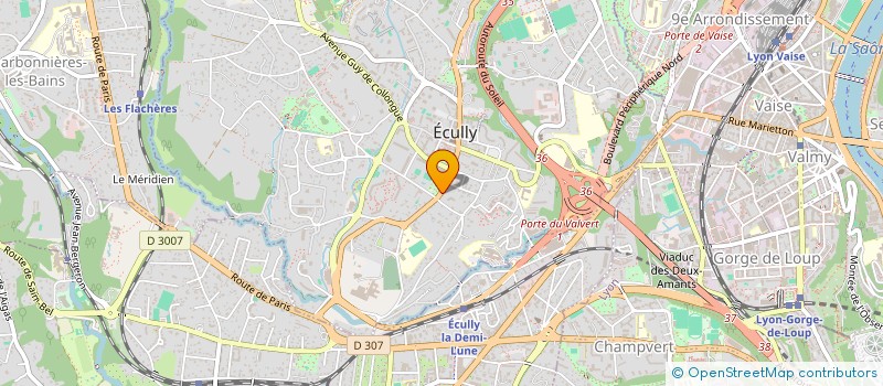 localisation de l'entreprise YNVESTMENT  ECULLY