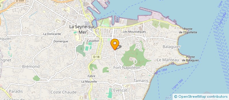 localisation de l'entreprise YOGA FLOW SUD FRANCE à LA SEYNE-SUR-MER