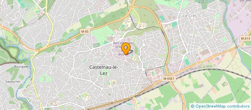 localisation de l'entreprise YOUNG MIN GRILL à CASTELNAU-LE-LEZ