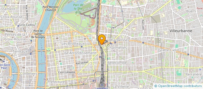 localisation de l'entreprise YOUNG PLATFORM à LYON