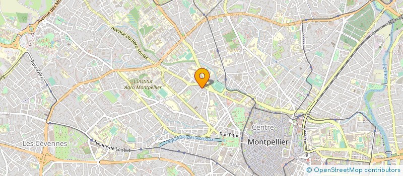 localisation de l'entreprise YOUR BARD à MONTPELLIER