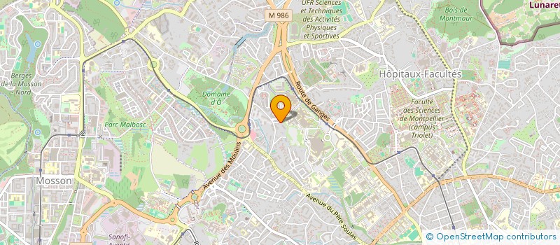 localisation de l'entreprise YOUTH UNITED REGGAE à MONTPELLIER