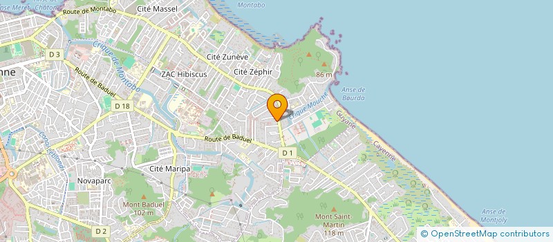 localisation de l'entreprise YS SHEN  CAYENNE