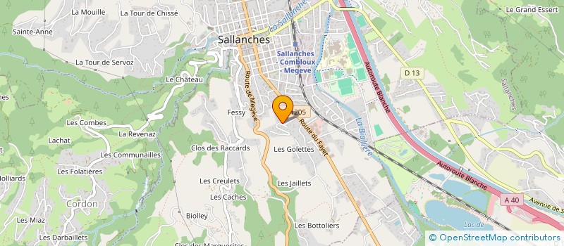 localisation de l'entreprise YSI à SALLANCHES
