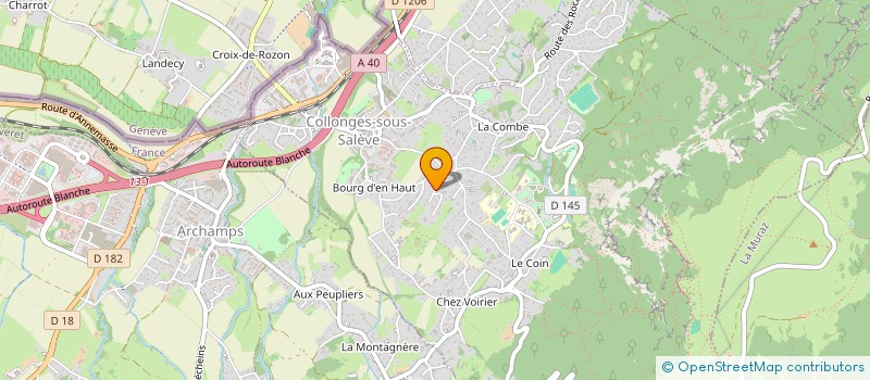 localisation de l'entreprise YTS GROUP  COLLONGES-SOUS-SALEVE