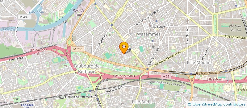 localisation de l'entreprise YUG HUMAINS SUR LA TERRE à LILLE