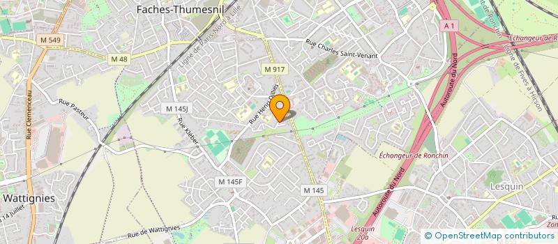 localisation de l'entreprise YUH - YOUR USUAL HOME  FACHES-THUMESNIL