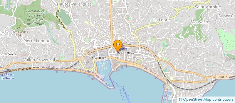 localisation de l'entreprise YVEL ET CIE  CANNES