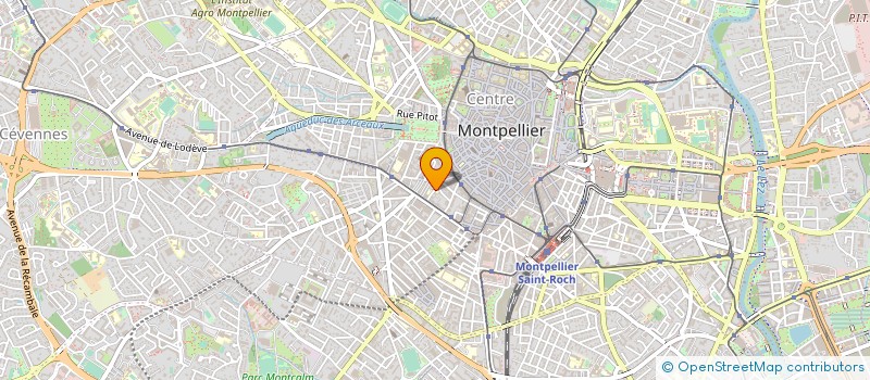 localisation de l'entreprise YVON PELLEGRIN SOC PARTICIPAT à MONTPELLIER