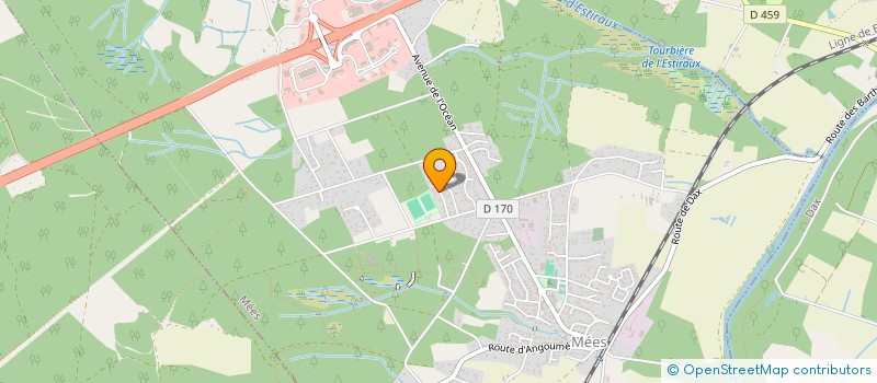 localisation de l'entreprise YVONNE  MEES
