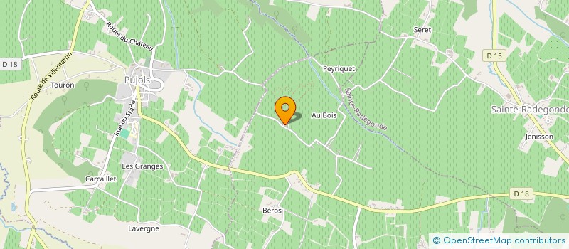 localisation de l'entreprise YZO  DOULEZON